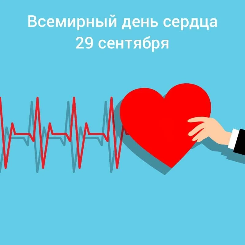 Сердце важнейший орган нашего тела. Но не только, сердце ❤  является символом доброты, ...