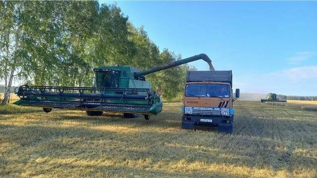 Работы на полях продолжаются