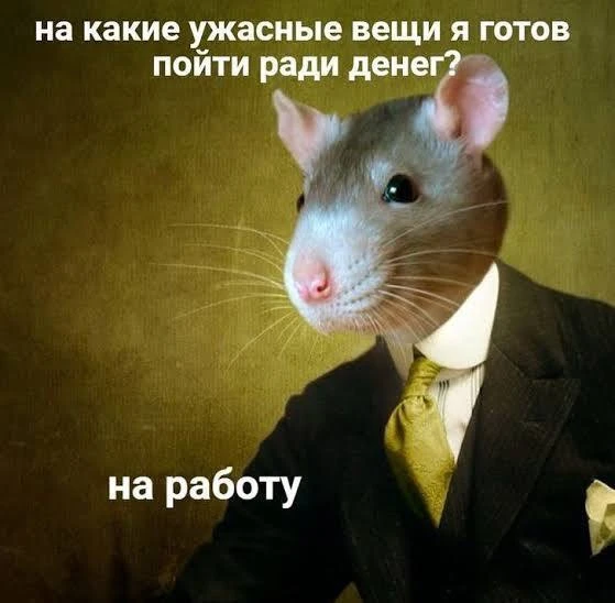 Сколько работ нужно иметь, чтобы стабильно себя чувствовать? 

Ситуация в экономике и на рынке труда