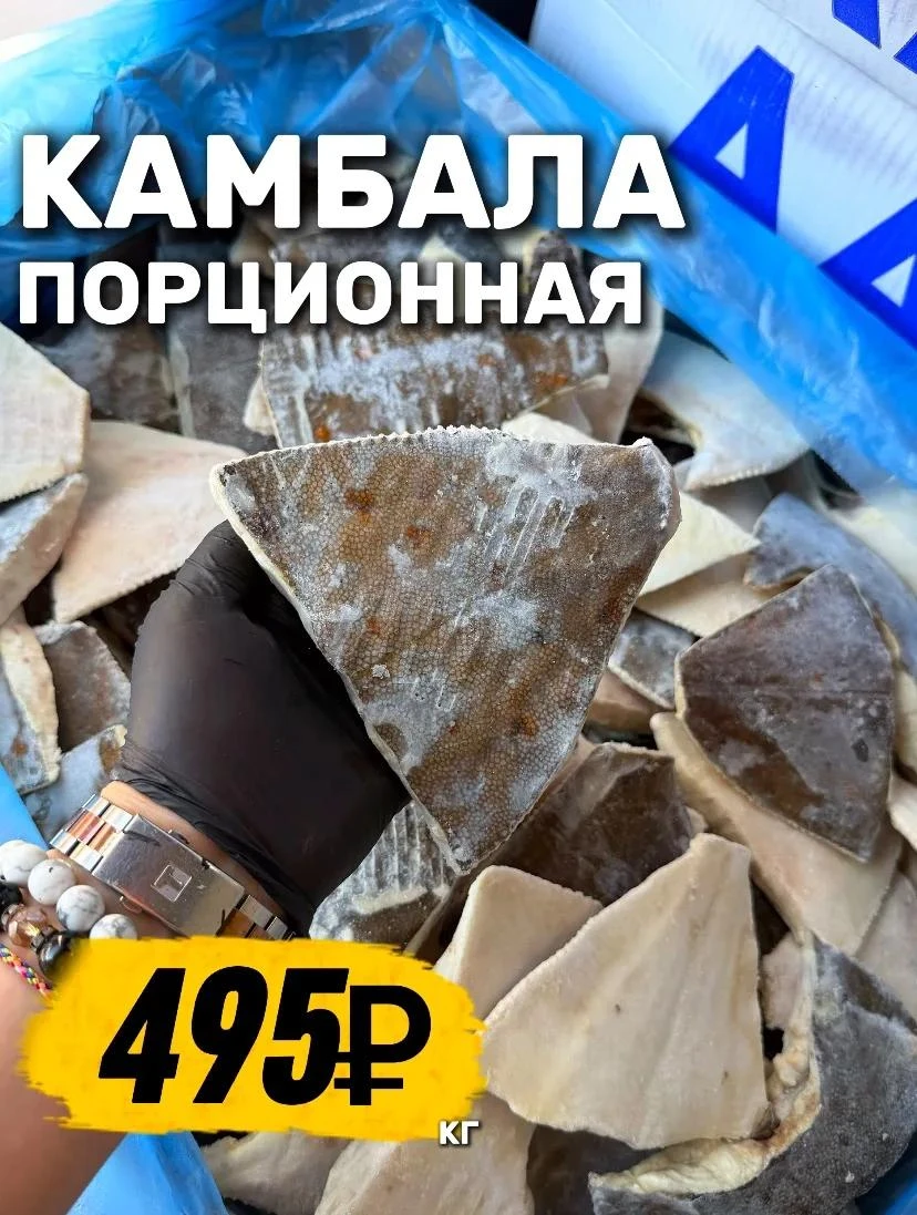 ВЫ СЕРЬЁЗНО?!💥