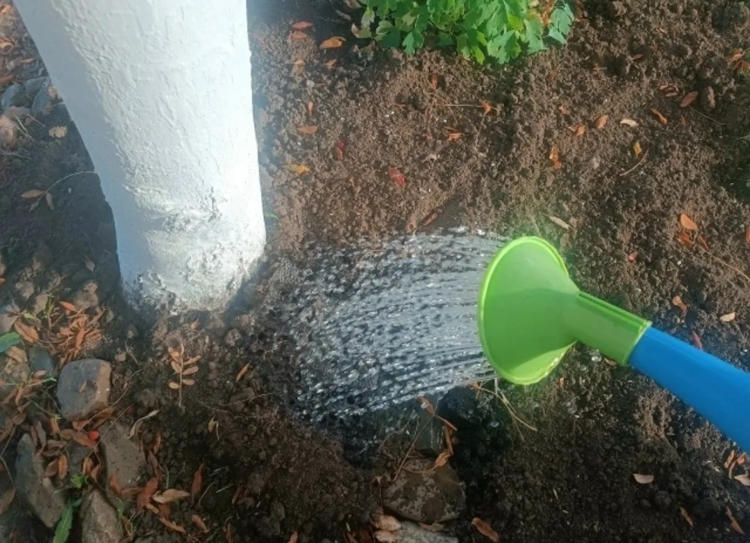 💦ВЛАГОЗАРЯДНЫЙ ПОЛИВ.