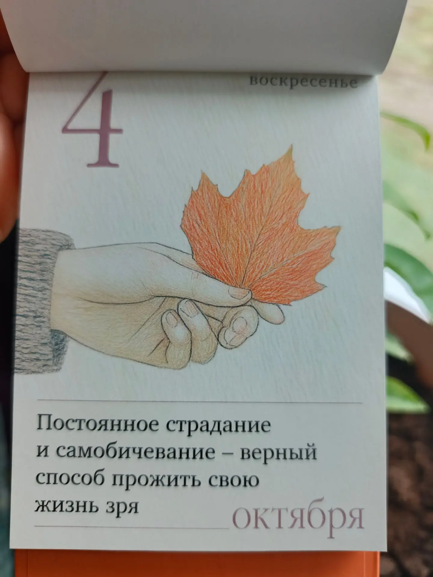 Доброе воскресное утро 🌞