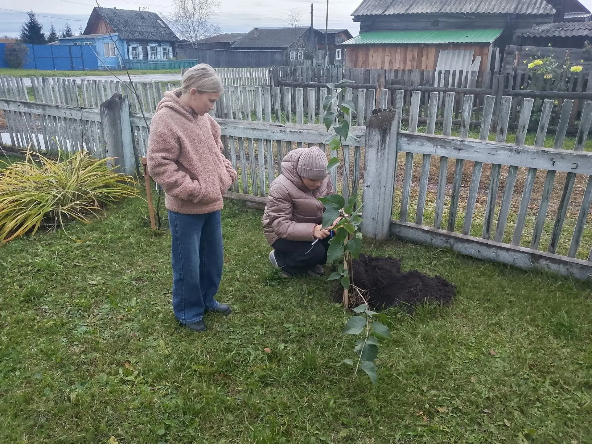 🌳 Аллея дружбы появилась в Степаново