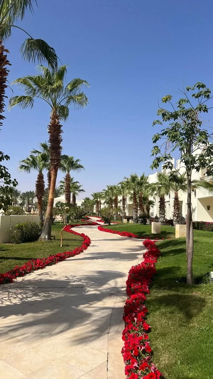 🇪🇬 ЕГИПЕТ, ШАРМ-ЭЛЬ-ШЕЙХ

Swissotel Sharm 

Отличный отель под управлением Rixos: цветущая террито