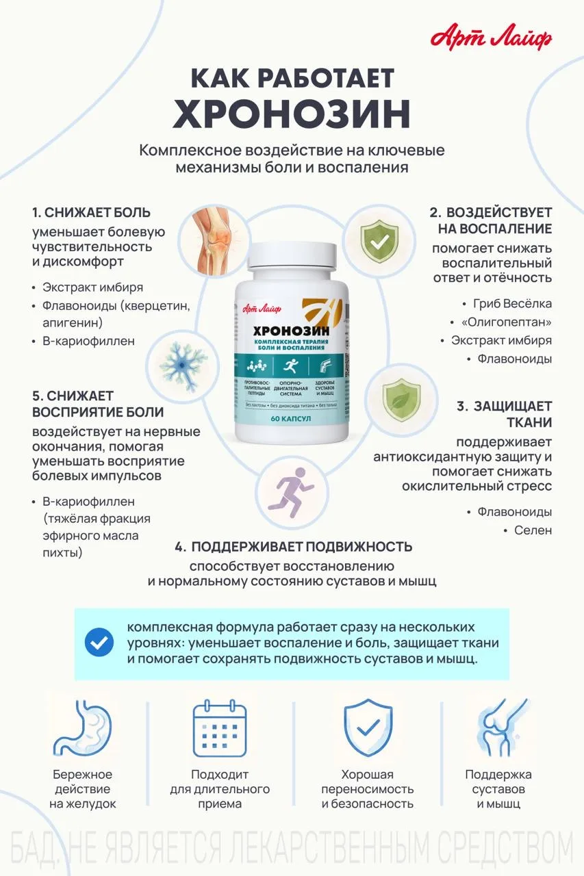 Как работает "Хронозин?" 4 механизма действия.