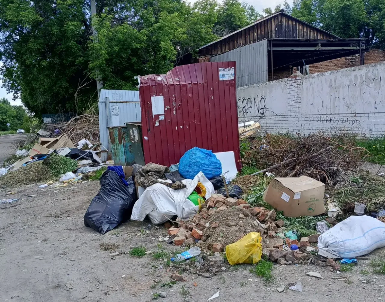 Троичане уже привыкли к мусорным горам у контейнерных площадок.

Чего там только не встретишь.

А во