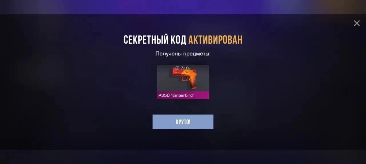 XWX6VBYUNV24