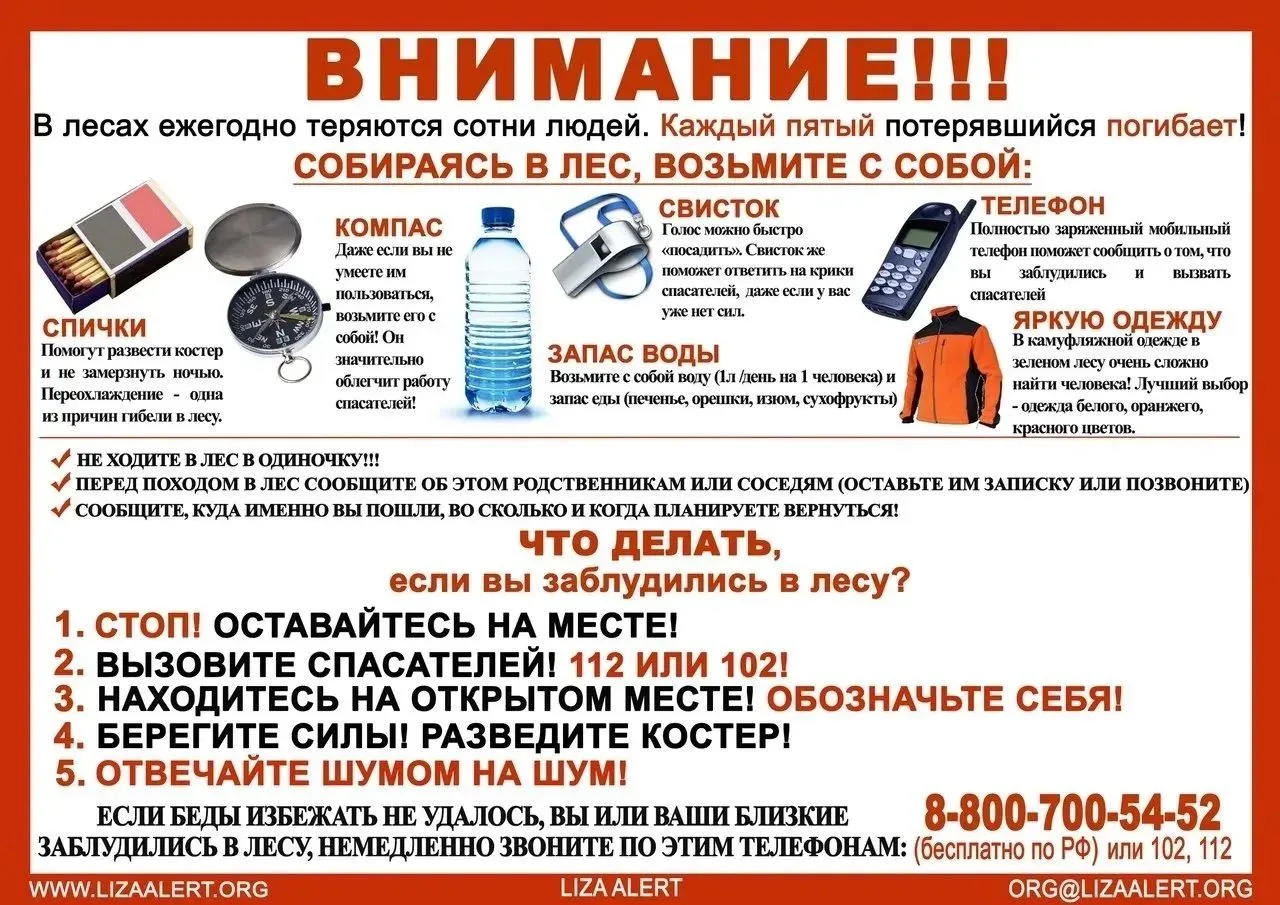 Как не заблудиться в лесу
Памятка отправляющимся в лес

1. Отправляясь в лес, всегда сообщайте своим