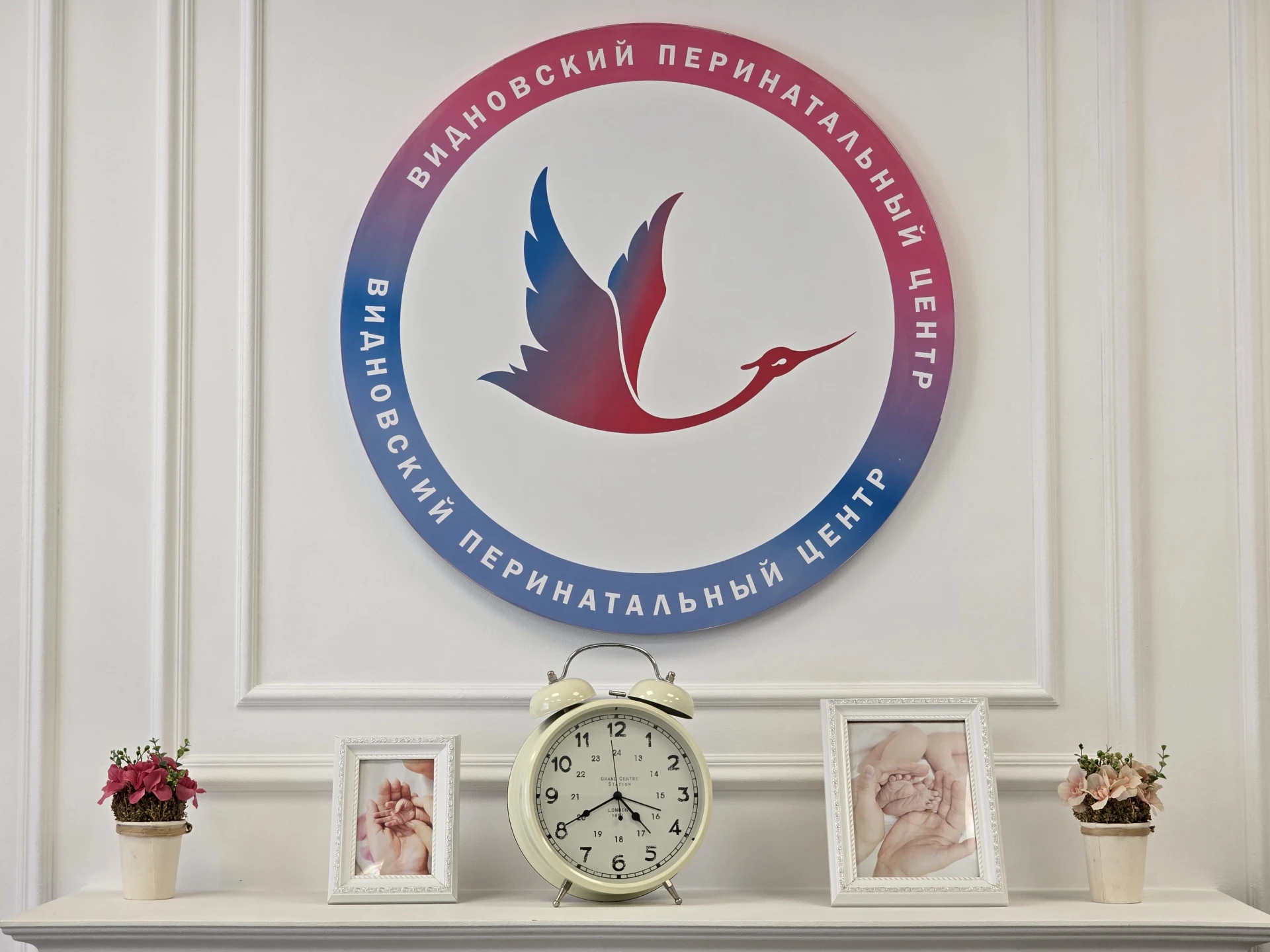 Видновский перинатальный центр приглашает будущих родителей на встречу с контрактными в...