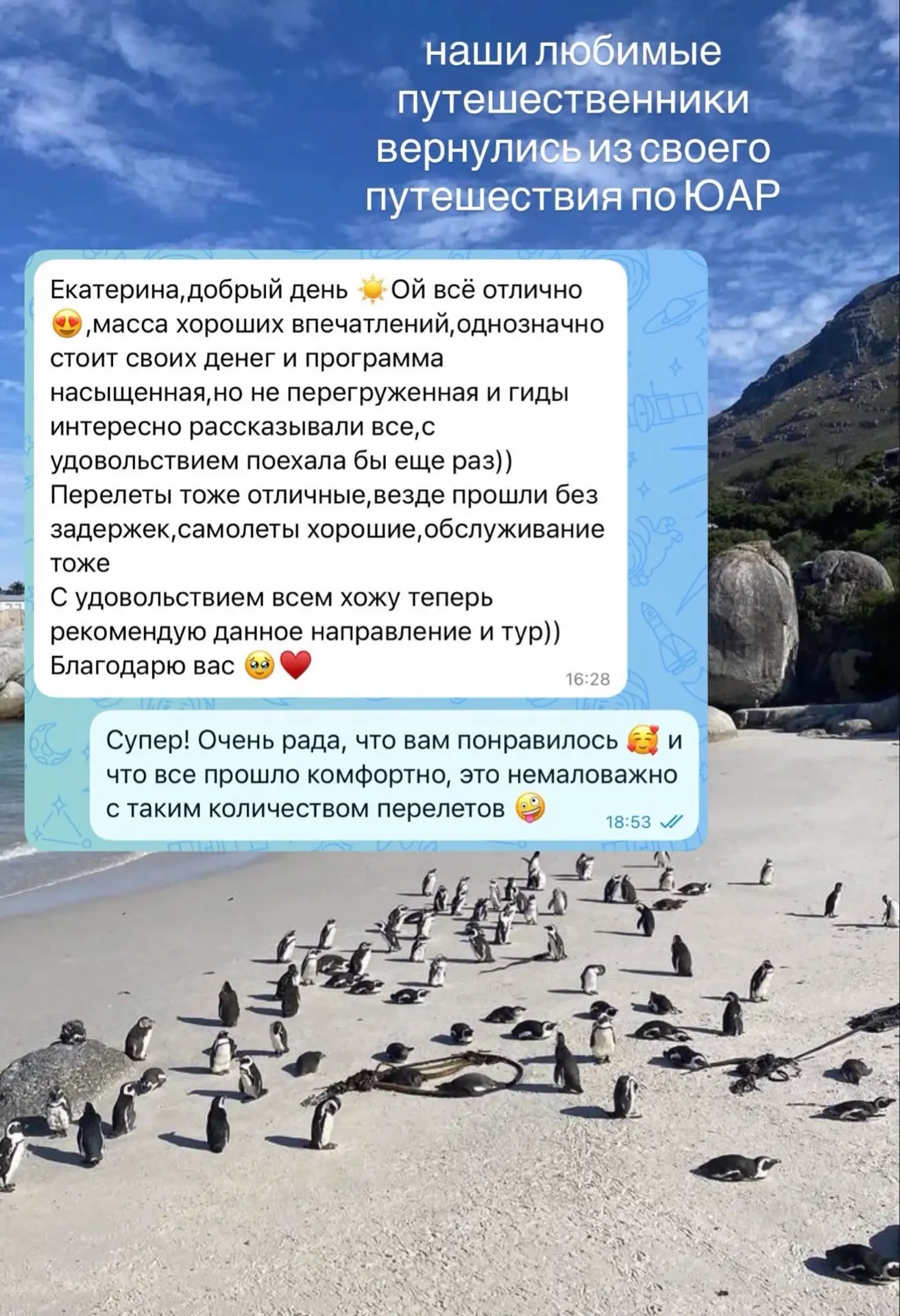 Очень насыщенный тур в ЮАР: Кейптаун, природа Атлантики, сафари и киты