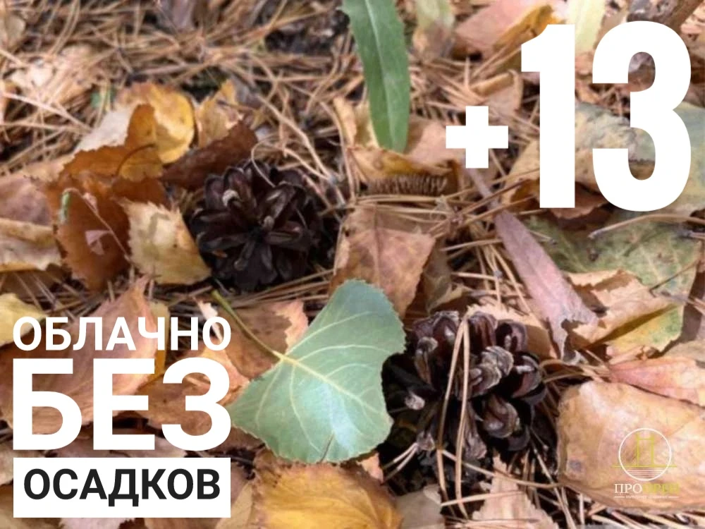 🌥Сегодня в Оренбурге до +13°С. Днём облачно, без осадков