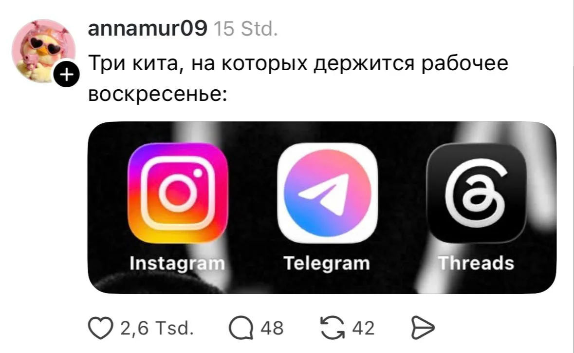 На них держится любой рабочий день ☠️