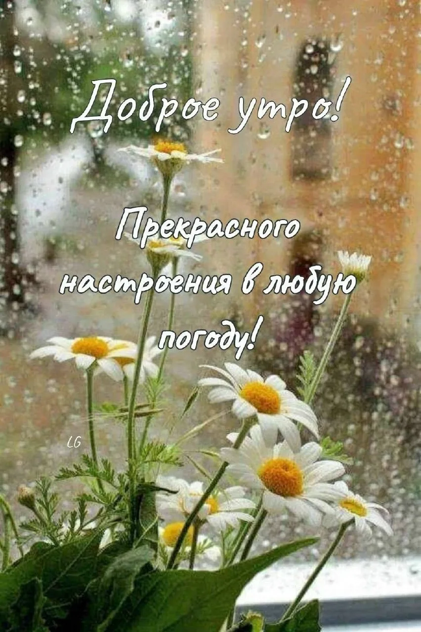 🌷 Открытки подписаться 👈
