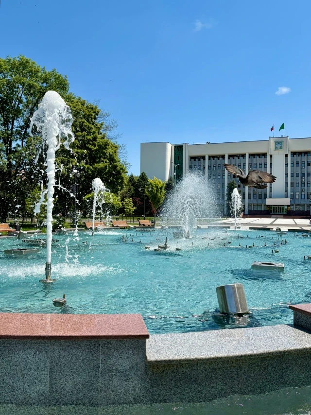 Наслаждаемся последним месяцем лета  

📸 Ольга Ефимова, Елена Юсеф/Советская Адыгея

📲 Подписаться
