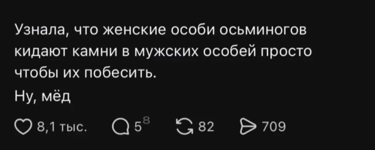 🔹 Мы или не мы 😄