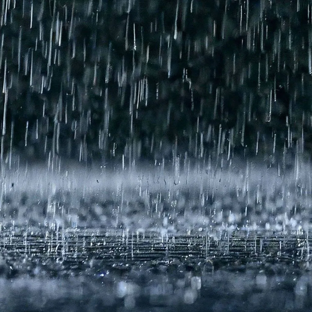 ⛈Очень сильный дождь ожидается в Южно-Курильском и Курильском районах