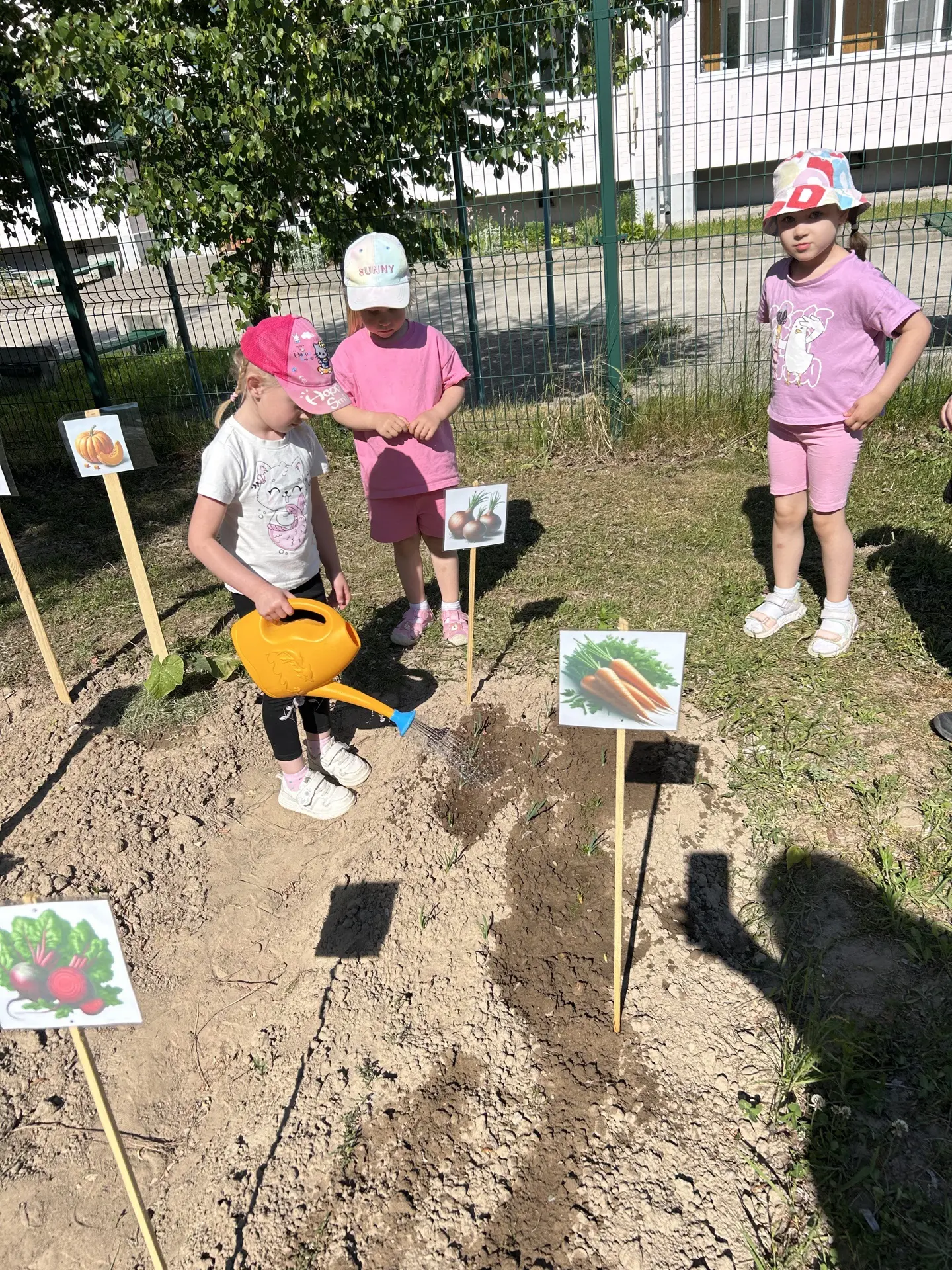 Поливаем огород — посмотрите, что растет! 🌱🌻
Огород в детском саду является одним из условий, кото