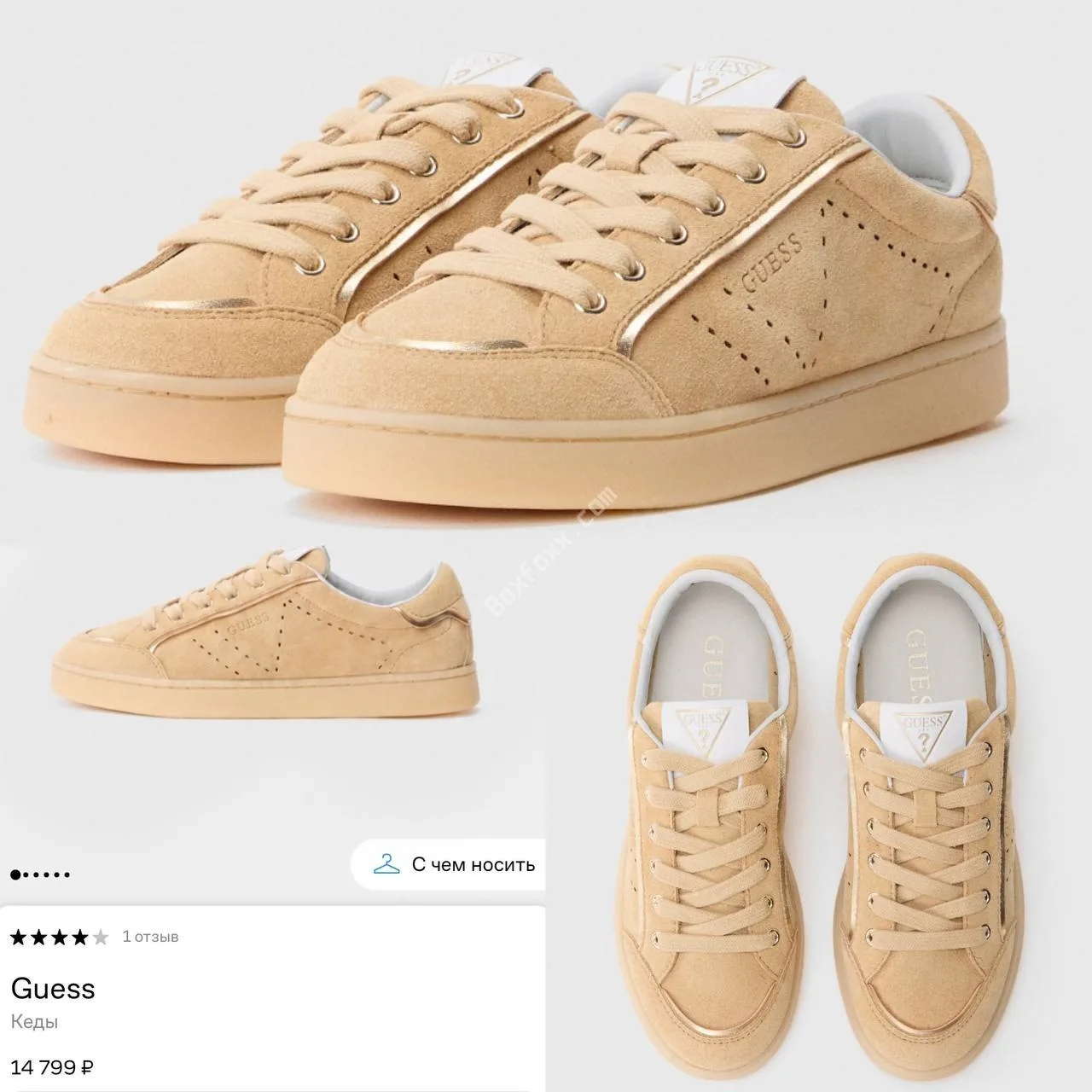 ⚡️GUESS⚡️