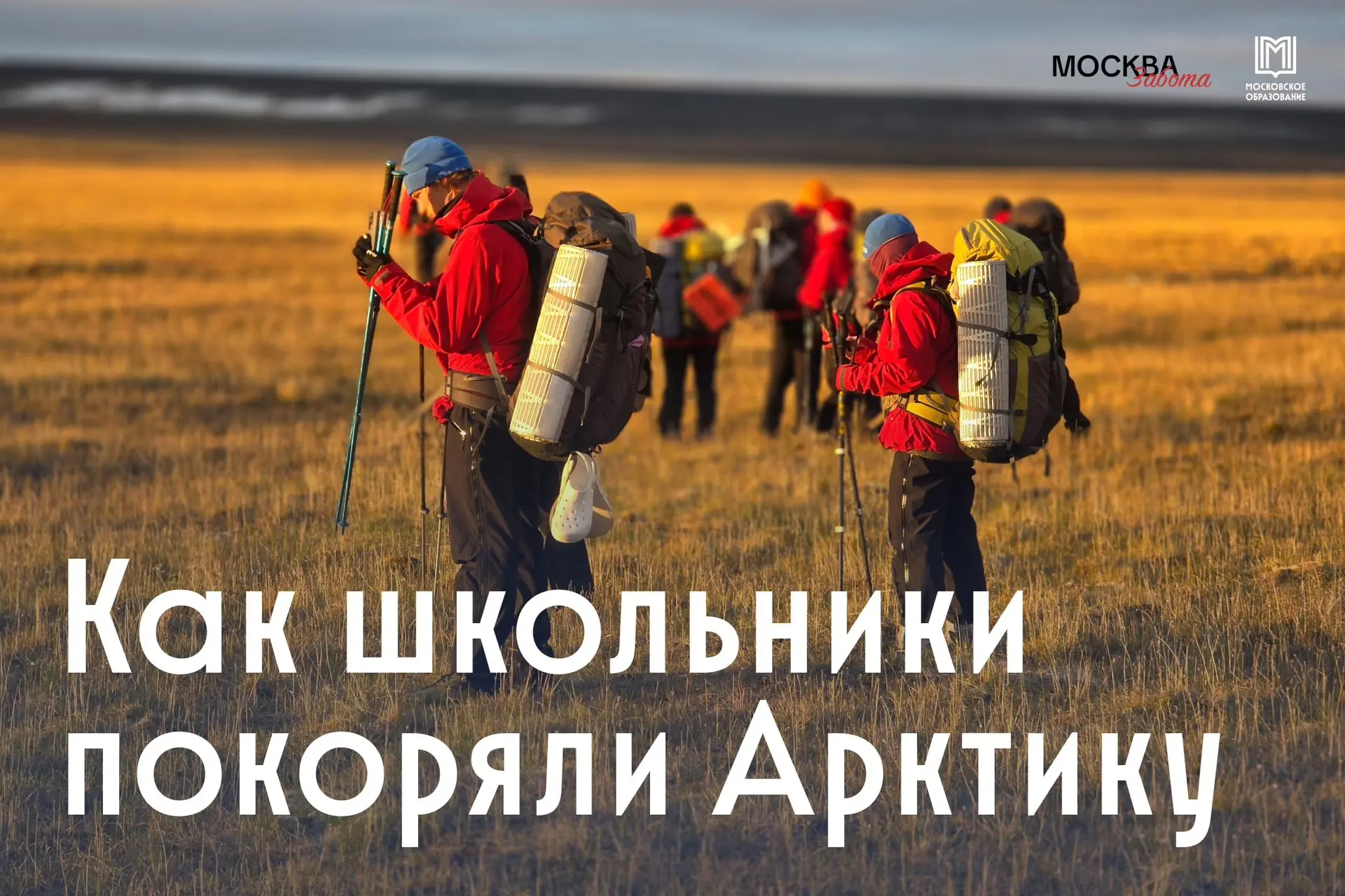🧊 Арктика пугает даже самых смелых путешественников...