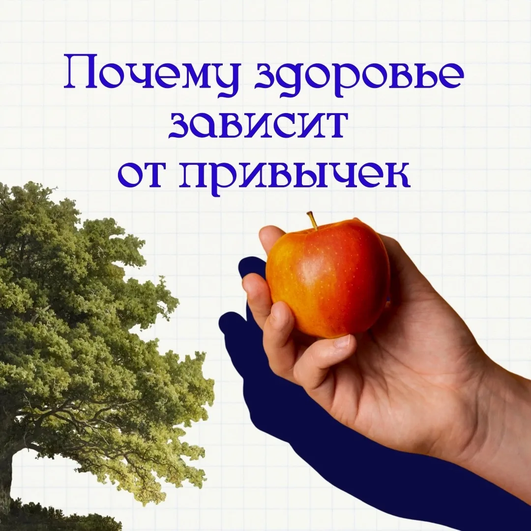 Здоровье человека зависит не только от генетики и экологии, но и от привычек.