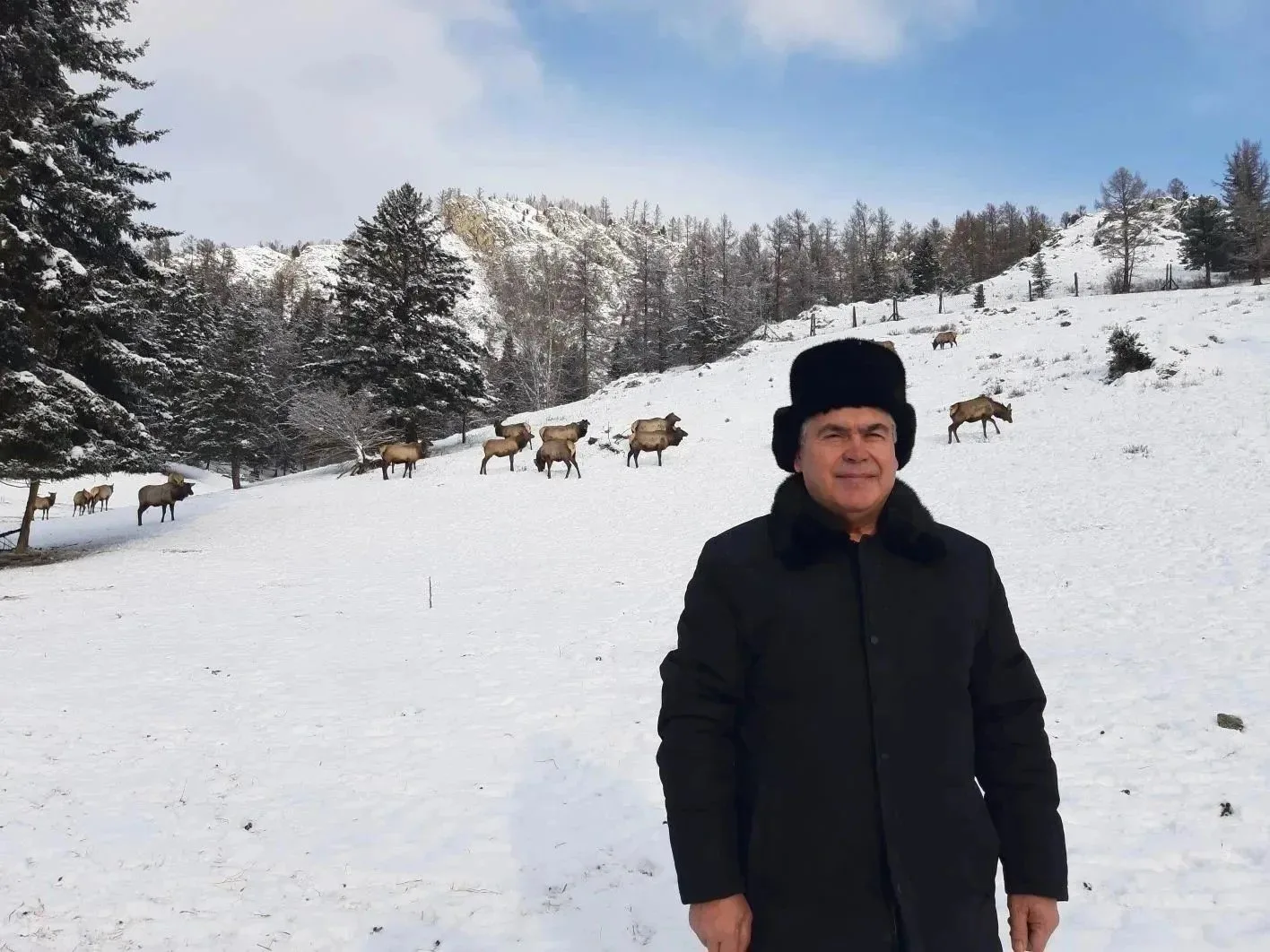 🦌 В Госдуму от Алтая может пройти человек, который знает о пантах всё