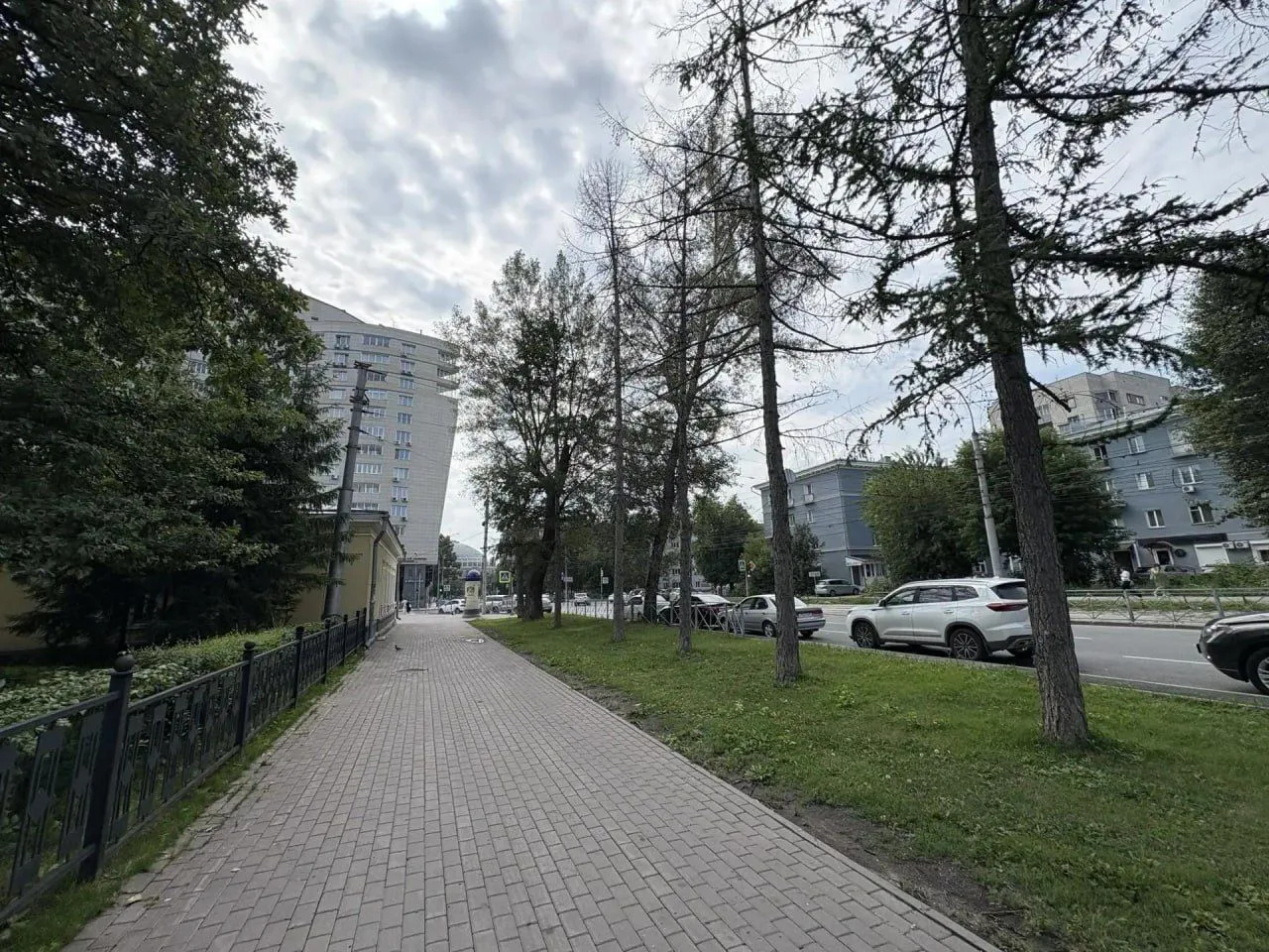 ❇️Не выдержали реагентов: в центре Новосибирска заменят 64 погибшие лиственницы

На улице Мичурина в