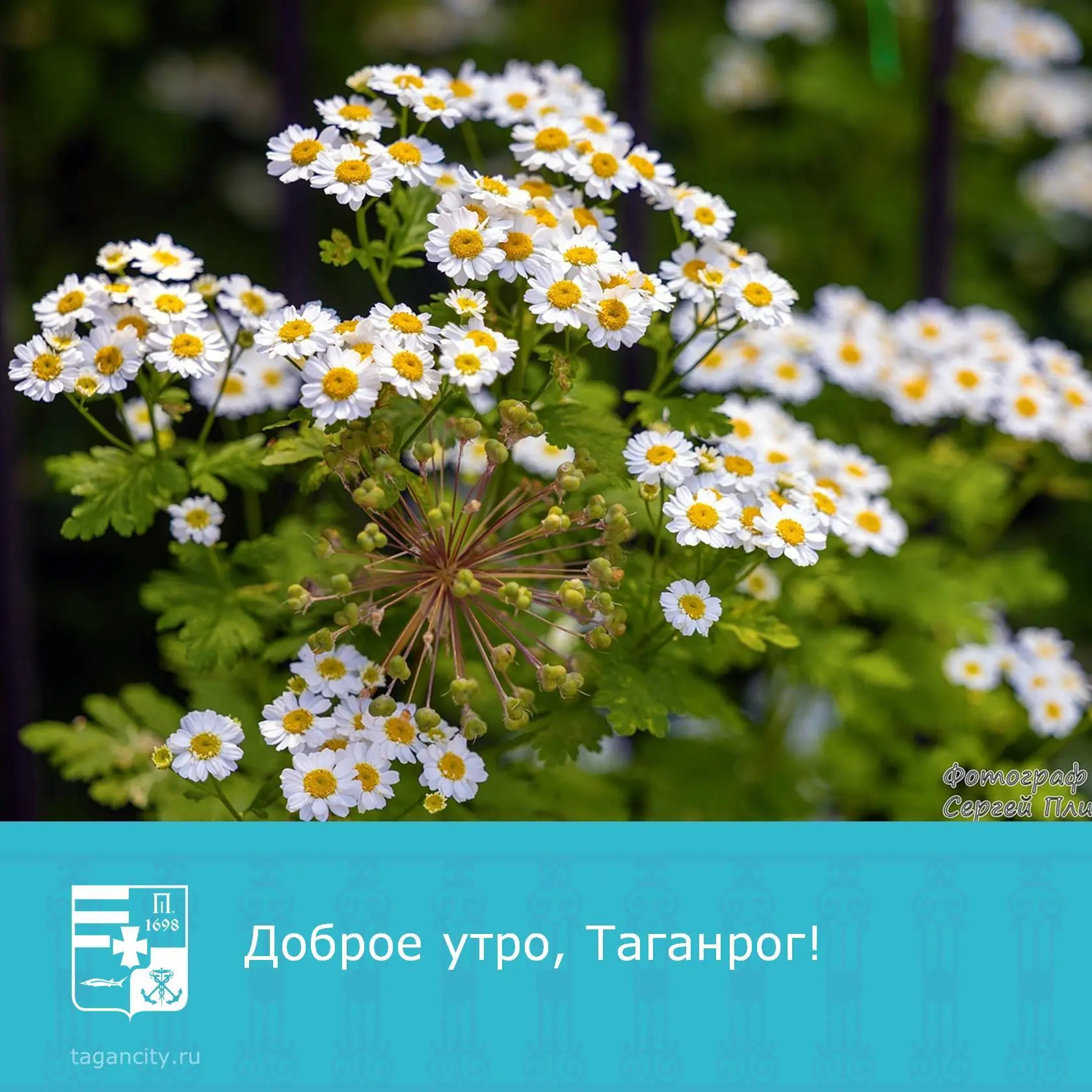 Доброе утро и лёгкого завершения недели! 🙂⁣
Фото: Сергей Плишенко.