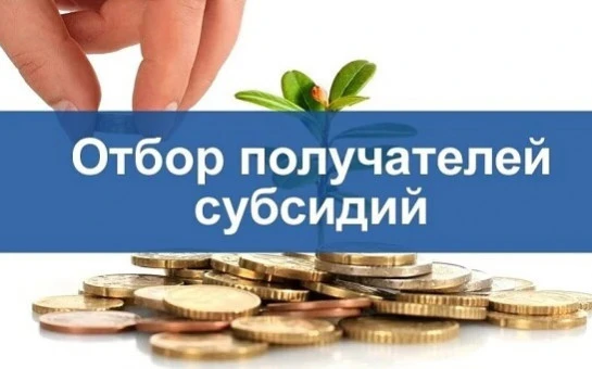 📌 На портале предоставления мер финансовой государственной поддержки (https://promote....