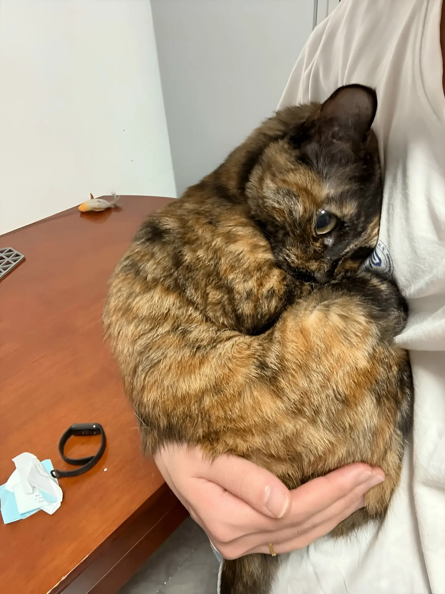 🐈: ты занимаешься своими делами, я — своими!