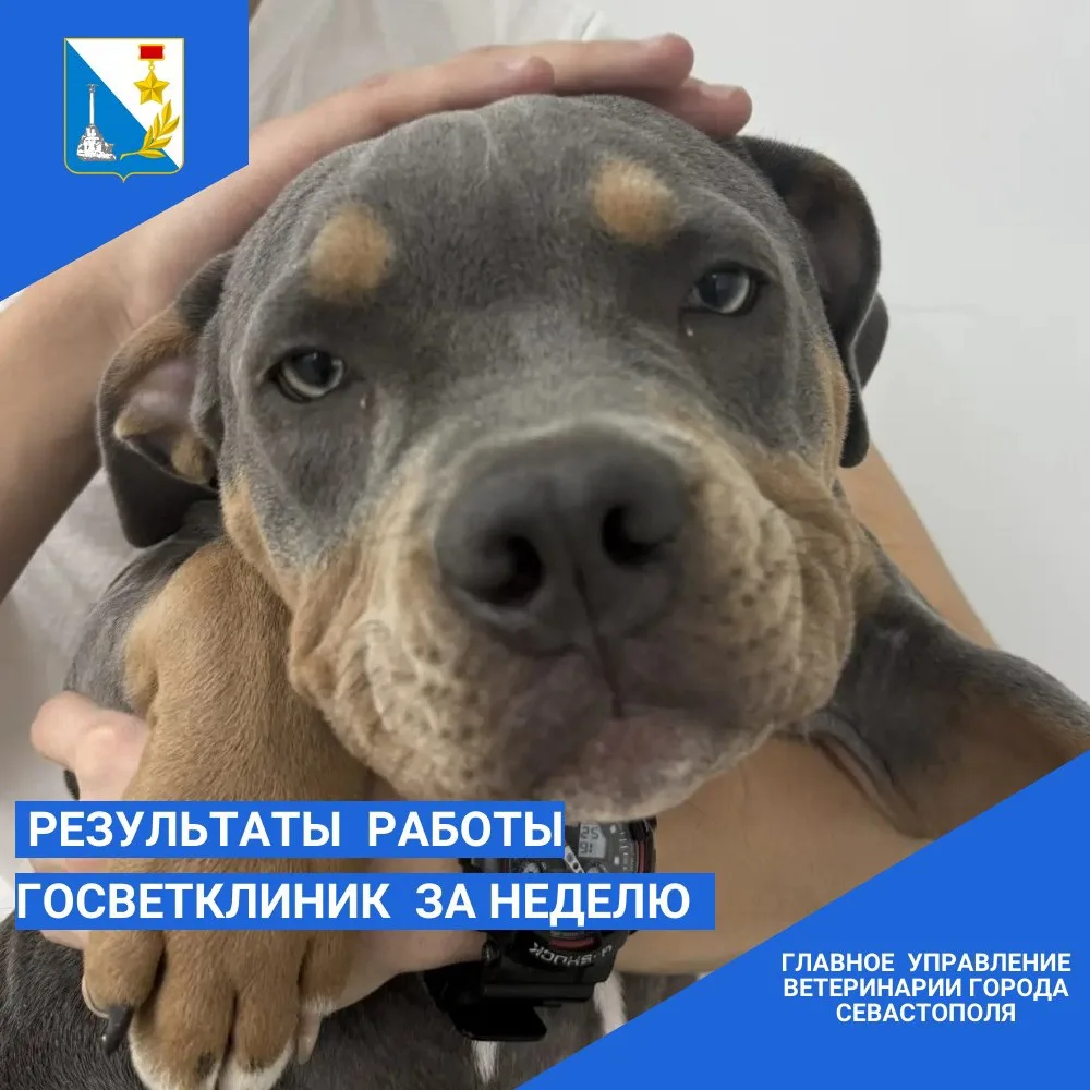 🐾Итоги работы ветеринарной клиники на Могилевская, 16 за неделю

За период с 6 по 11 июня мы принял