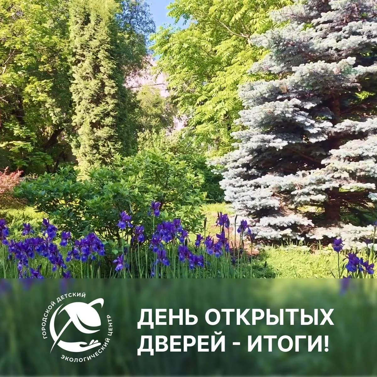 🪴 Как прошёл наш День открытых дверей? Было ну очень круто!

В рамках дня Защиты детей 1 июня Город