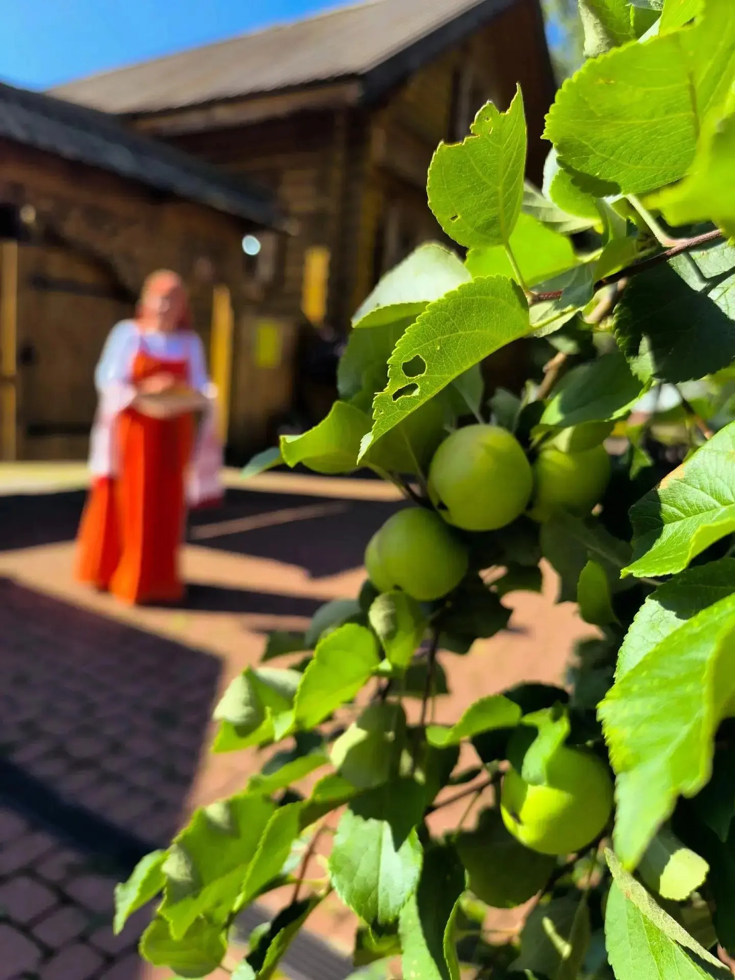 📅19 августа православные христиане отмечают Преображение Господне — один из двунадесят...