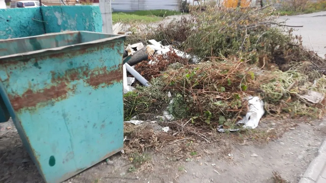 Уважаемые горожане! Складируйте, пожалуйста, ваш мусор и отходы с приусадебных участков...