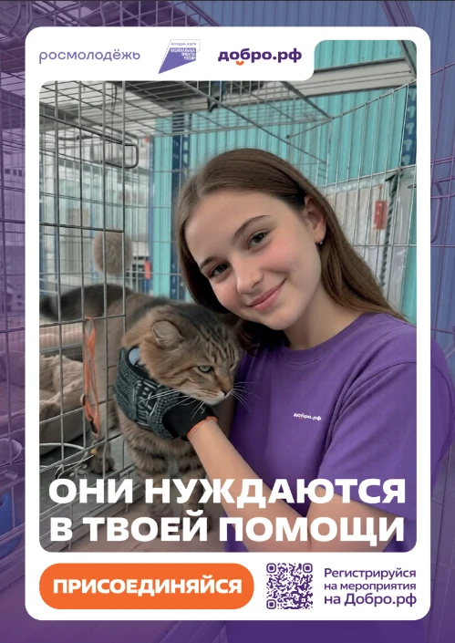 Добро.рф — это место, где люди, организации и инициативы объединяются, чтобы делать пол...