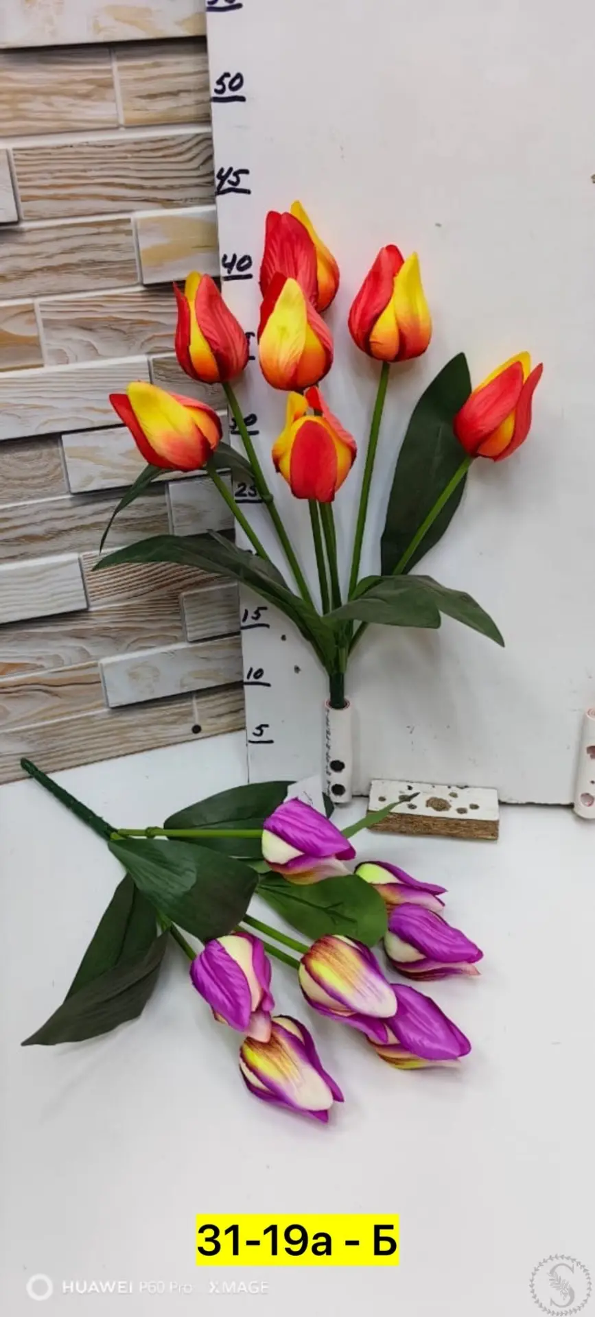 https://vk.com/photo-184814919_493004845