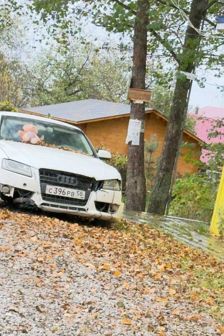 От подписчика: