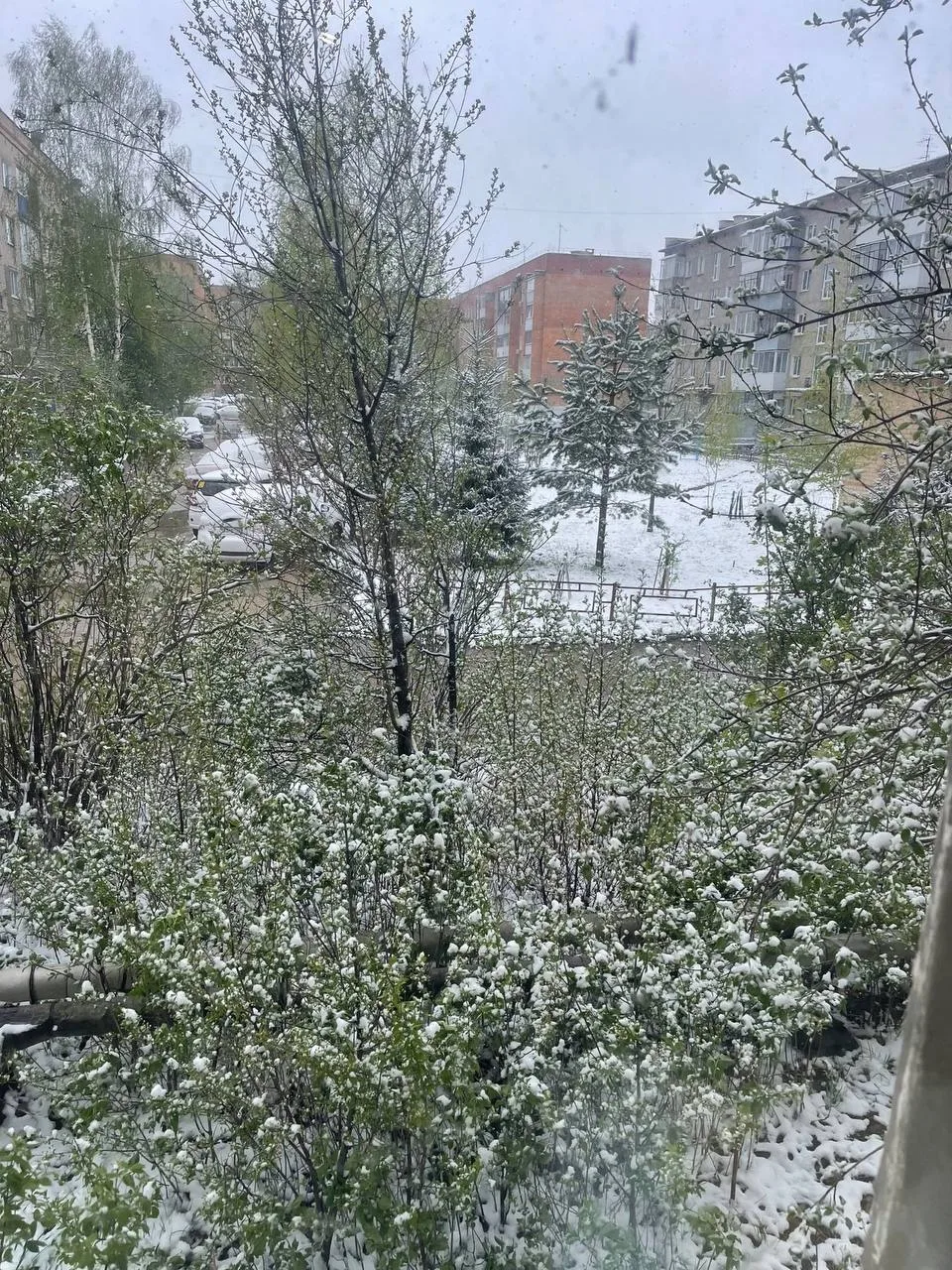 🔴🔵Вчера грядки жителей Челябинской области засыпало градом   Вот такой неожиданный снежный сюрприз в