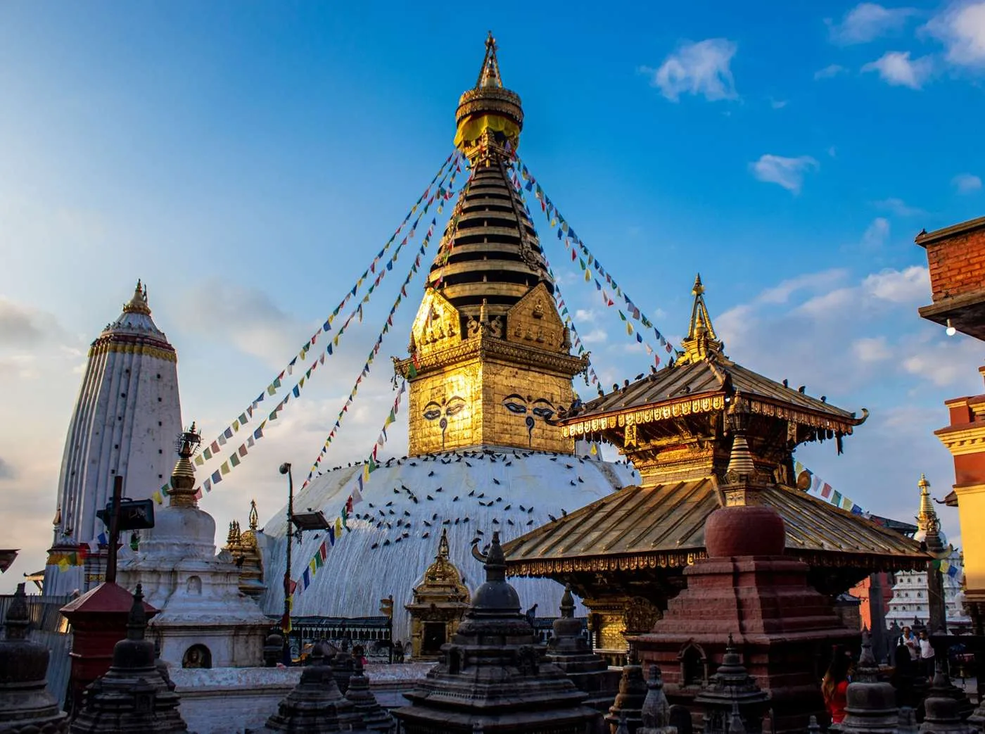 Не упустите новинки нашего сайта! 🔥