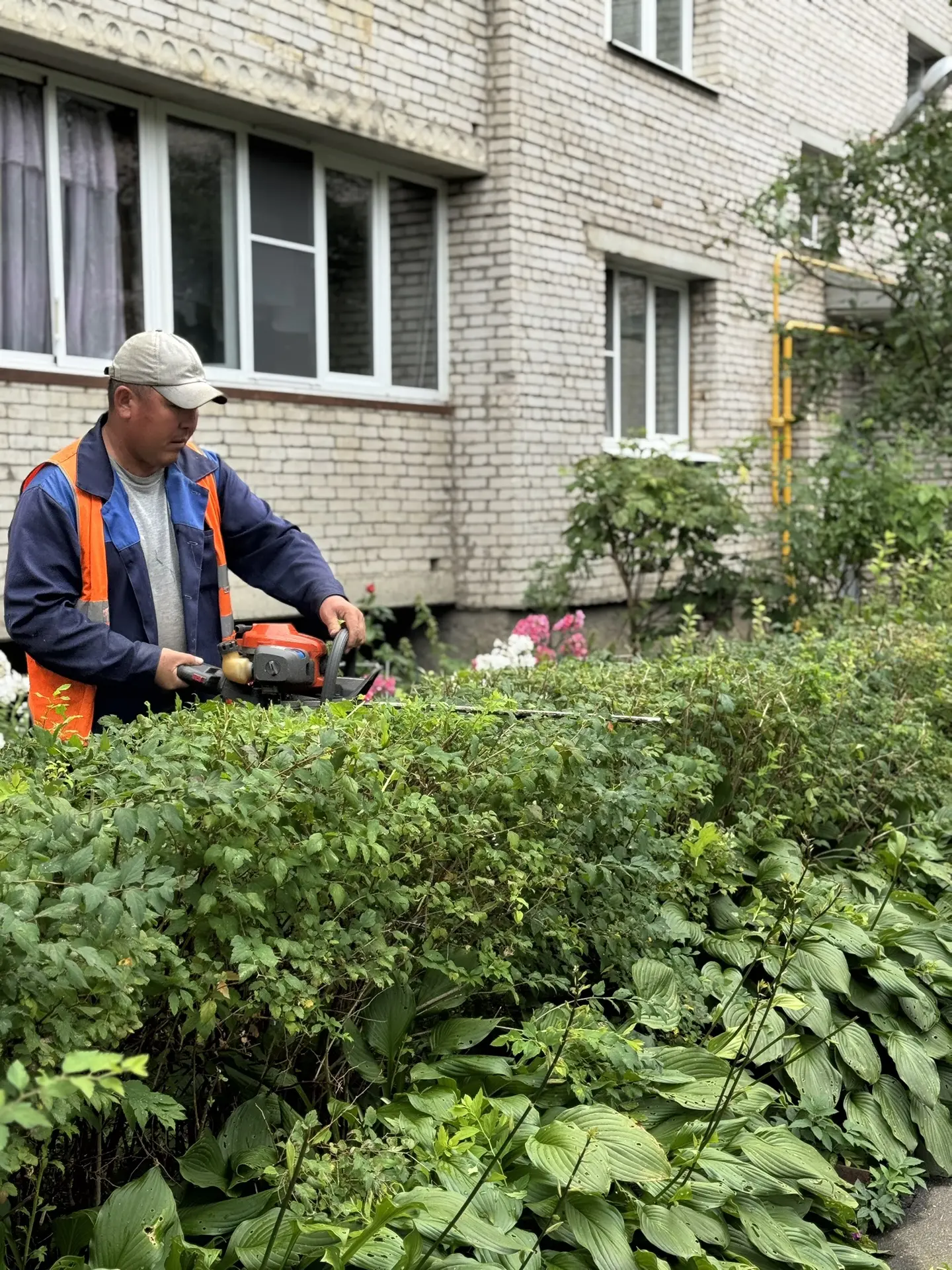 🌿 Заботимся о зелёных зонах.