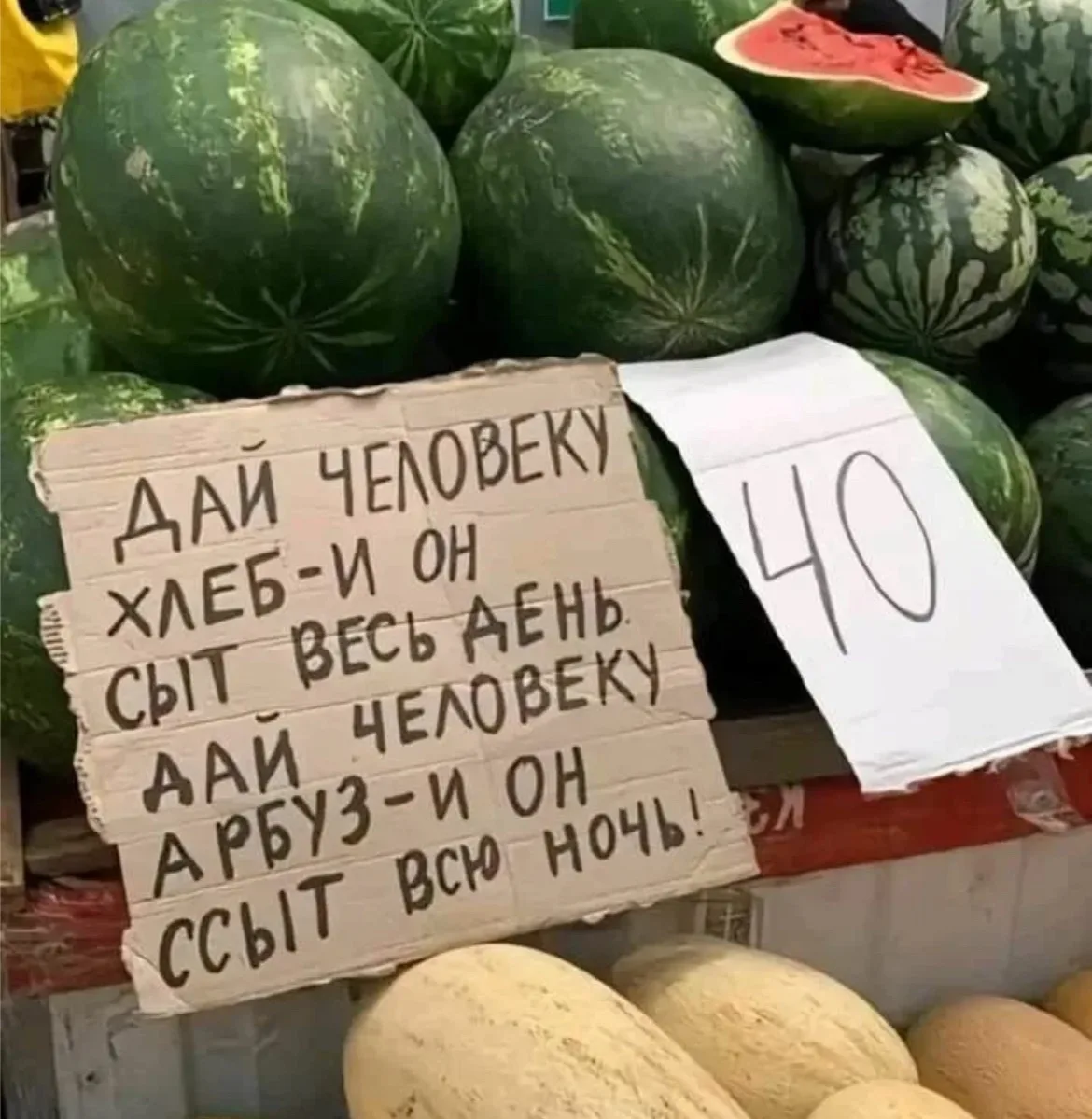 Херсонские арбузы скоро появятся в Крыму 🤤

На полях Херсонской области уже созрели первые арбузы