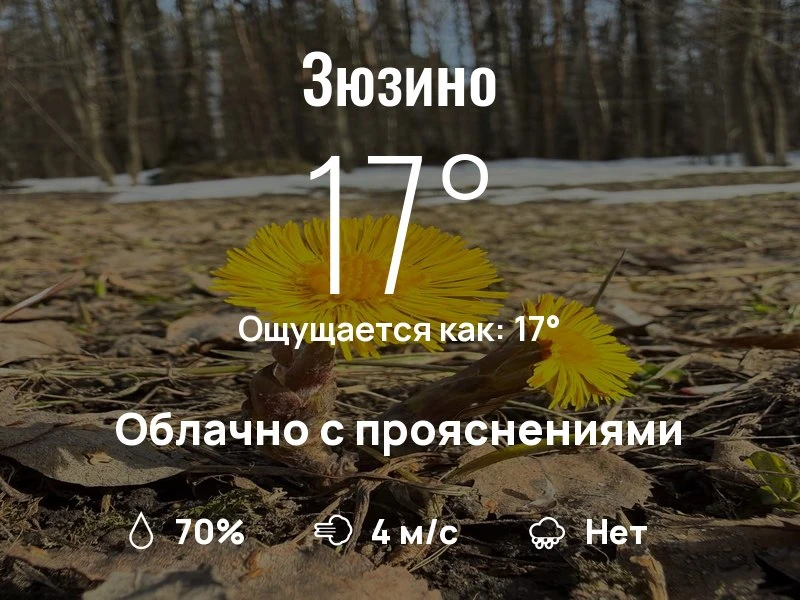 Что с погодой в Зюзино?