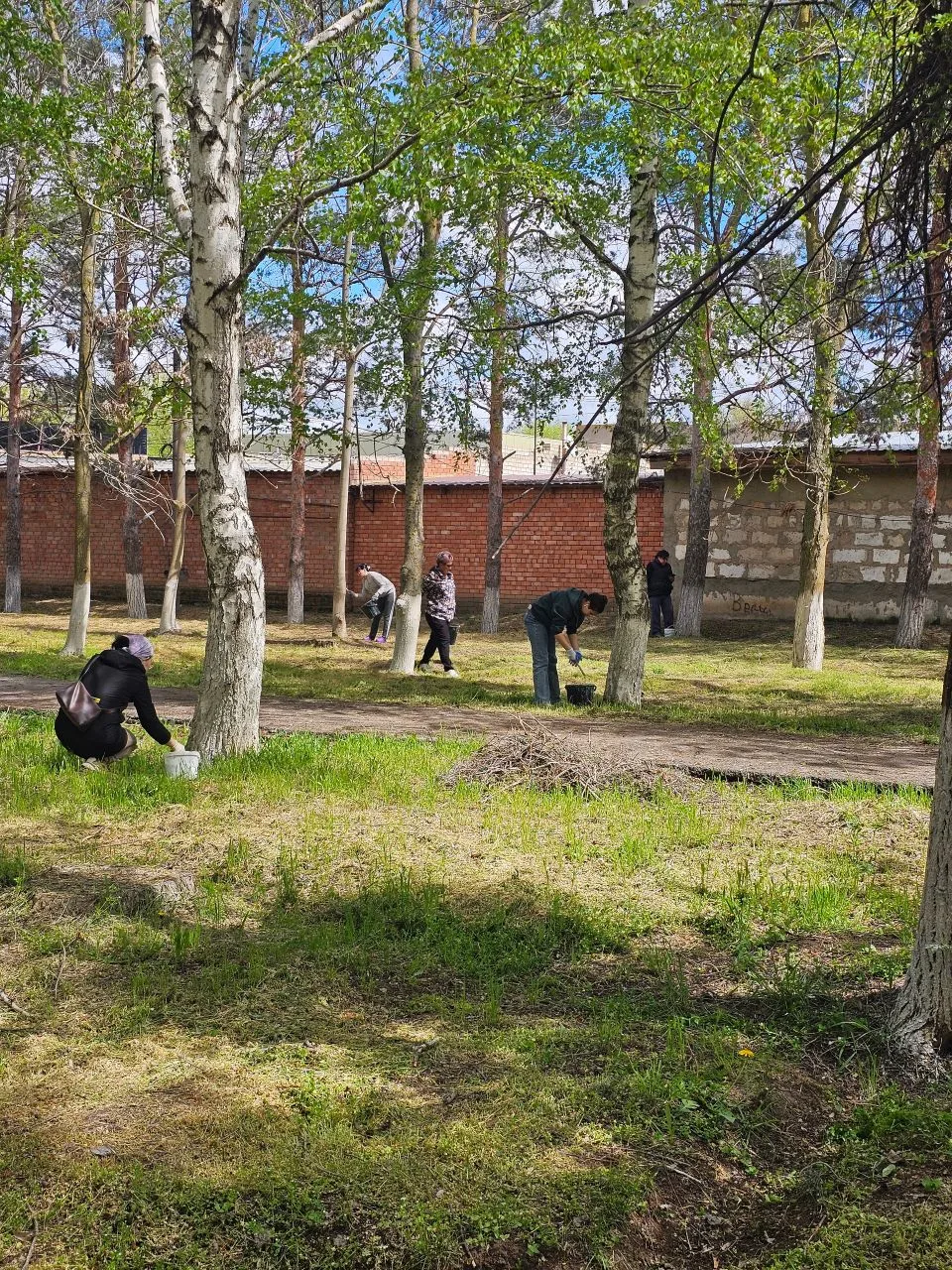🌿 Всероссийский субботник: парк Мира становится чище! 🌿
