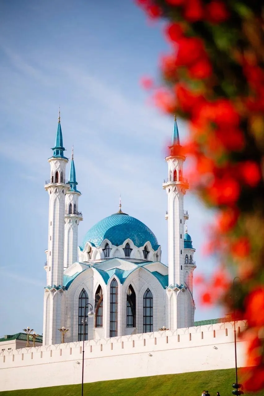 Сегодня в республике потеплеет до +11 градусов ☀️