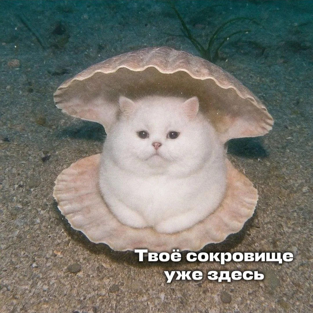 🤩🤩 Иногда за хорошим настроением не нужно нырять на дно океана — достаточно заглянуть...
