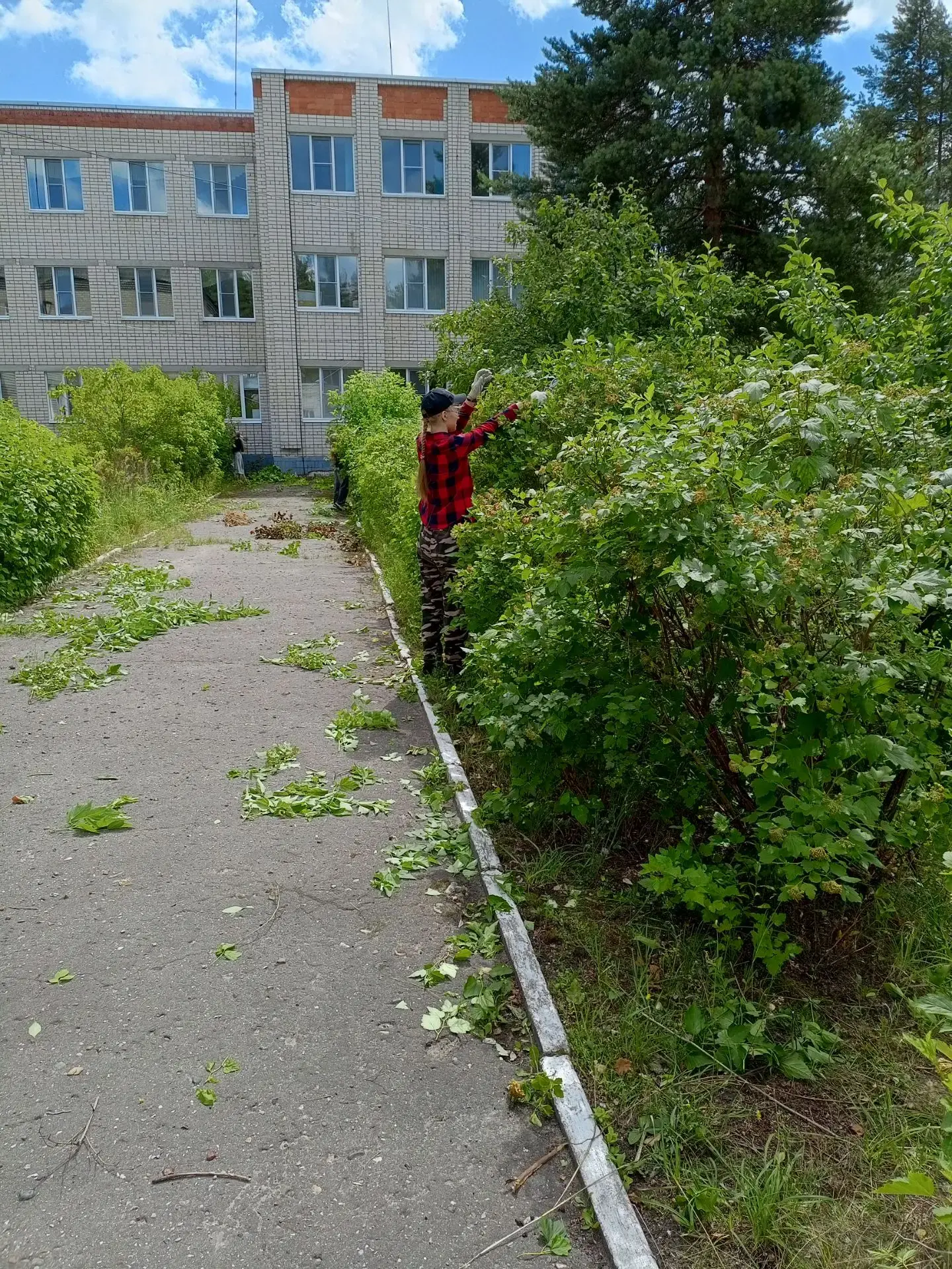 💪 Движение — жизнь! Наша трудовая бригада заступила на пост!**

Сегодня особенный день: наша школьн