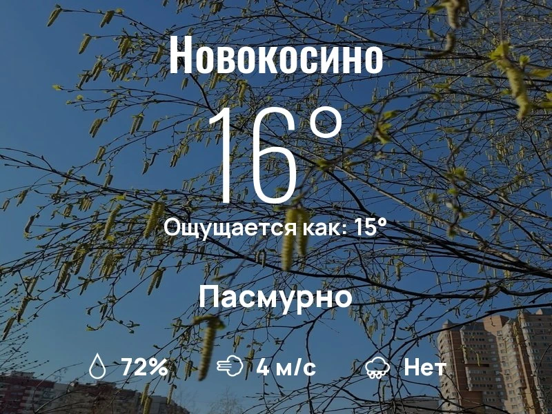 Что с погодой в Новокосино?