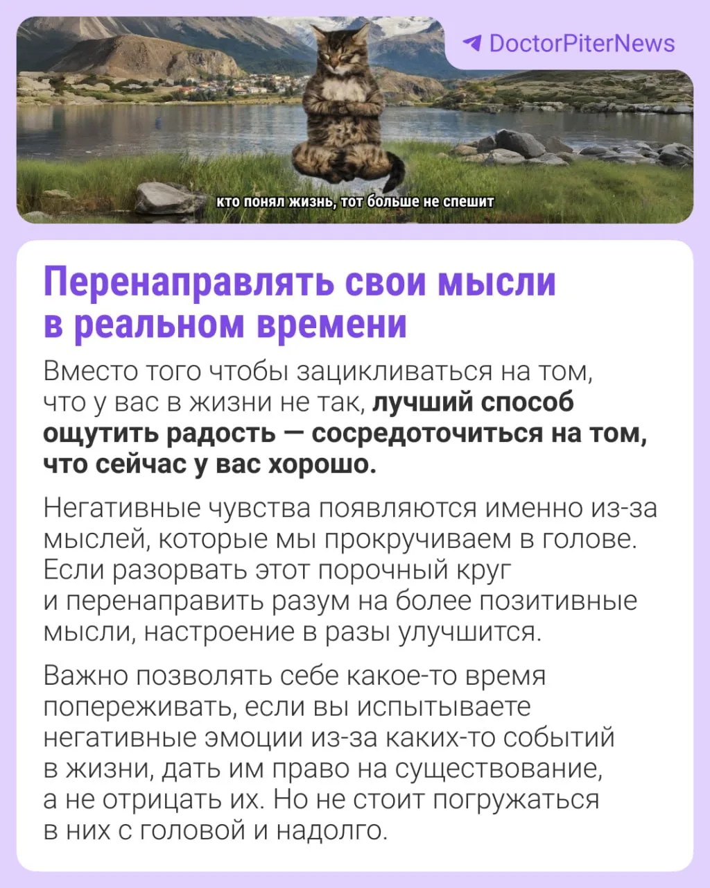 Изображение 6 к публикации «Афиша Новосибирска | НГС»