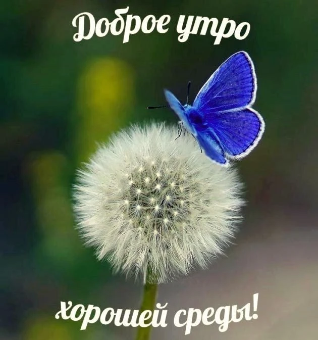 💖 Если открытка согрела сердце, поддержите её реакцией и отправьте друзьям!