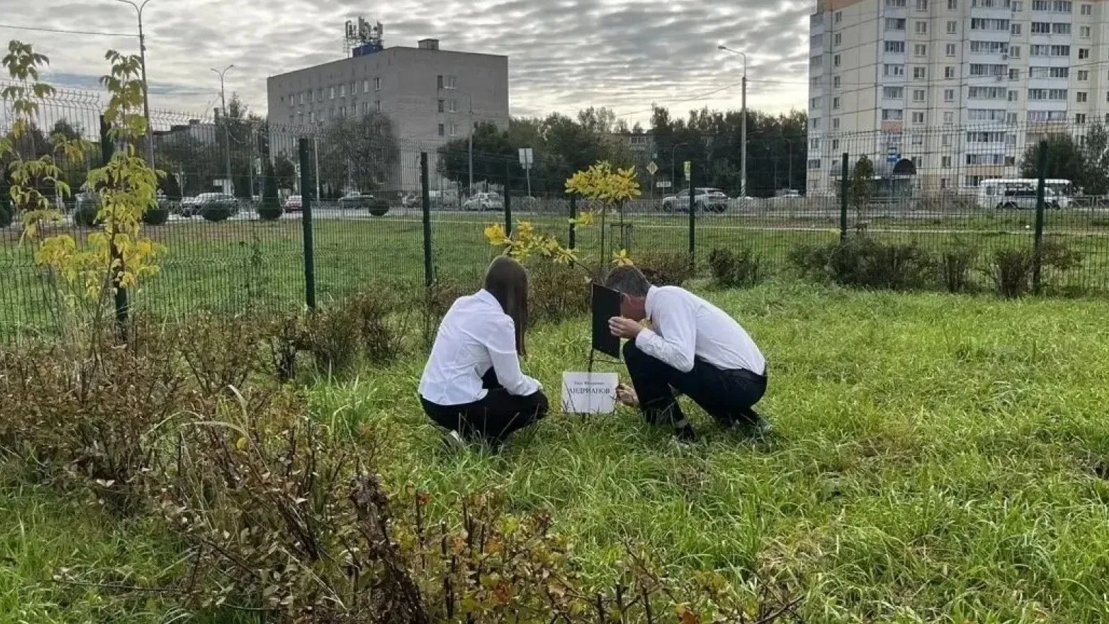 Аллея памяти появилась во дворе балабановской школы