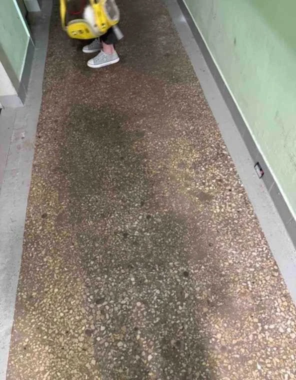 🗑 На Городецкой, 8к1, житель возмущён: мол, за содержание платит, а в подъезде бардак ...